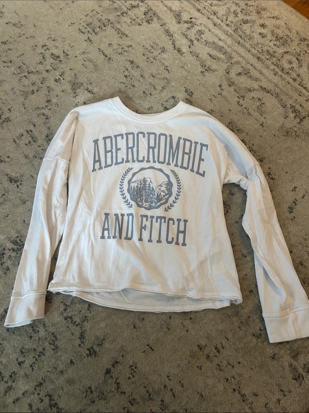 Abercrombie & Fitch White Long Sleeve Graphic Long Sleeve Tee Light Gray Print